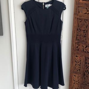 Eliza J fit and flare